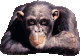 :thup: